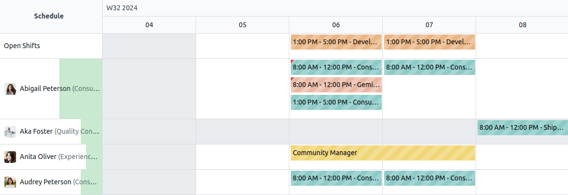 Planning Shift model's Gantt view